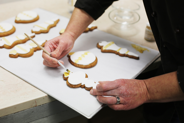 kiel, küstenmerle, shop kiel, kieler nachrichten