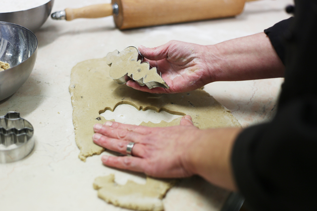 kiel, küstenmerle, shop kiel, kieler nachrichten