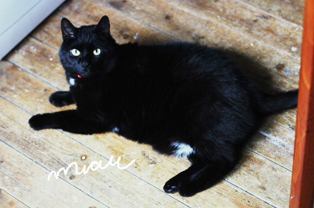 Kiel, Blog, Backen, DIY, Trödelhaus, Merle Mißfeldt, Vintage