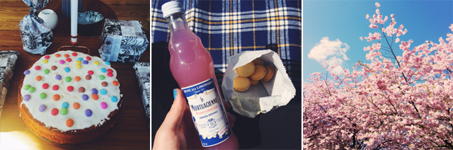 restez, kirschblüte