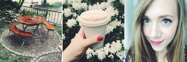 küstenmerle, kooperativa