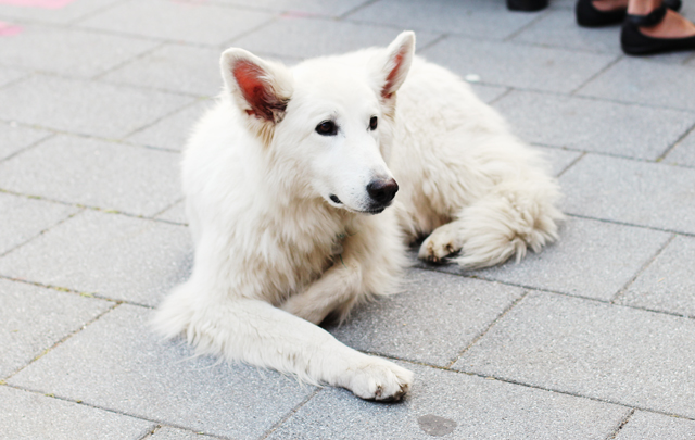 muthesius, einblick ausblick, kunsthochschule