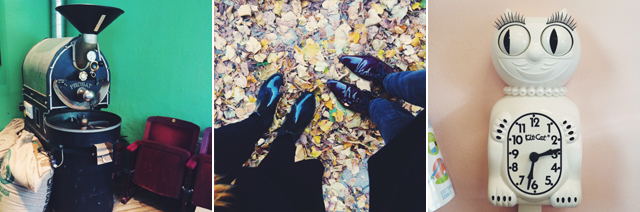 peaberries, kit cat, kaufrausch