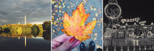 schrevenpark, herbstmarkt, kiel