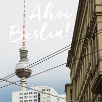 berlin, berliner fernsehturm, küstenmerle